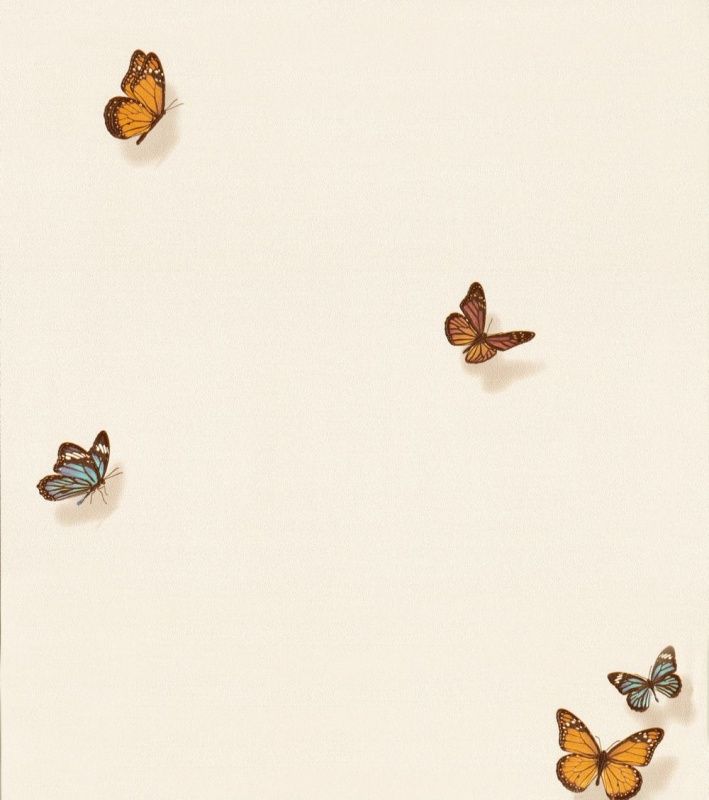 54363-3 Andrea Rossi Spectrum max 1,06 x 10,05