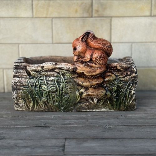 Полено с белкой