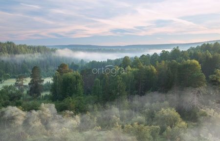 Туман над лесом Art.33604