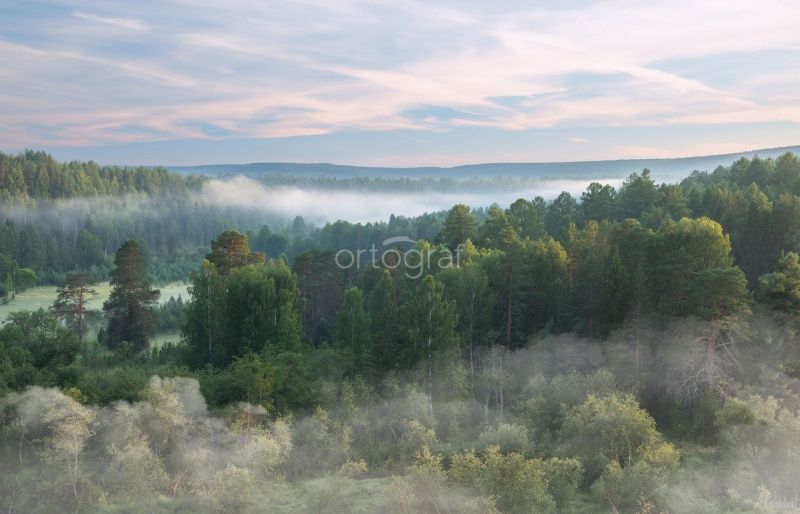 Туман над лесом Art.33604