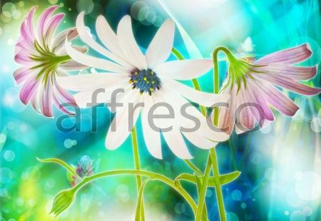 Нежные полевые цветы, арт. ID13323