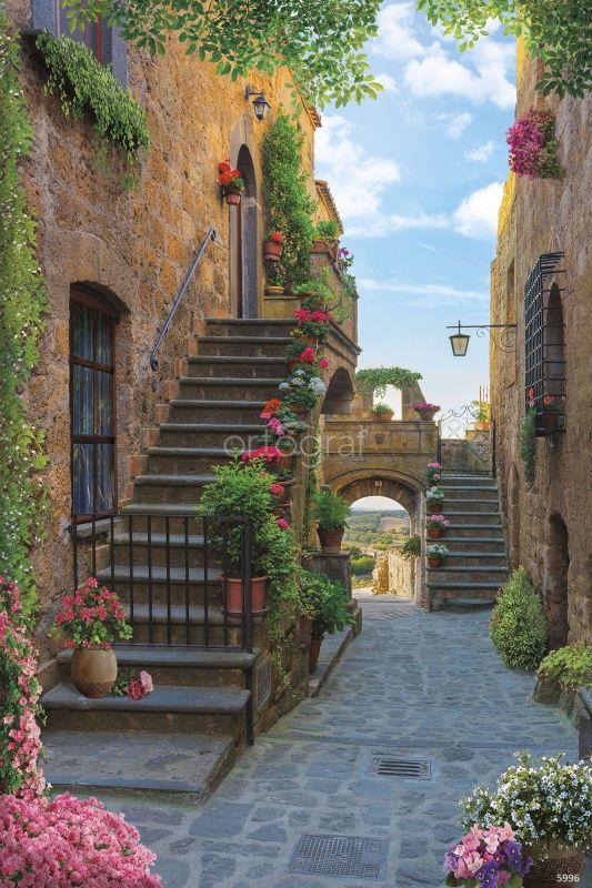 Тенистая улочка с аркой Art.5996