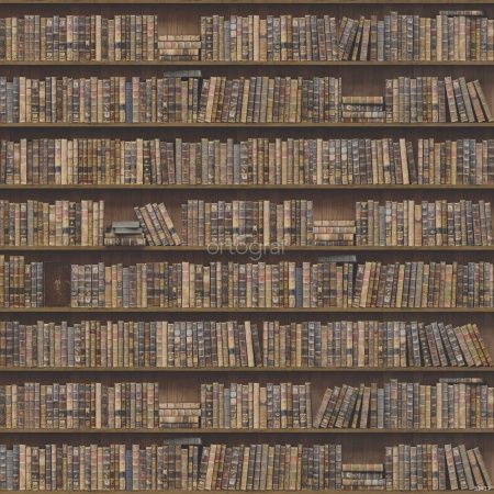 Фреска Книги на полке Art.33417