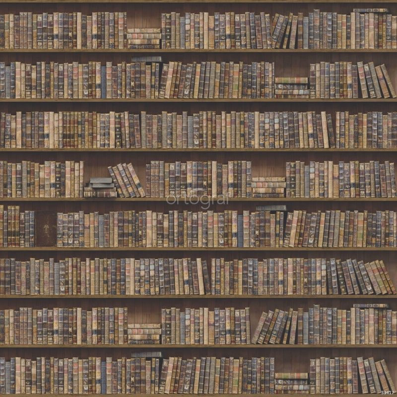 Фреска Книги на полке Art.33417