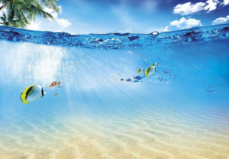 Фреска Лагуна Лос Робалос Art.30680