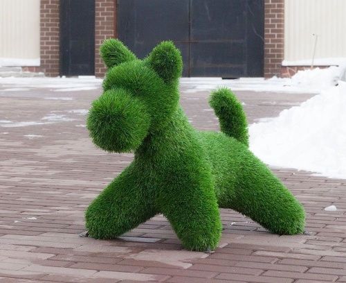 Собач Норвич терьер 58*86*50