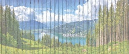 Фреска Пейзаж на досках Art.33178