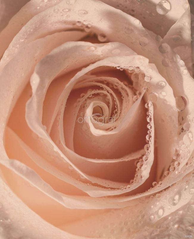 Фреска Кремовая роща с росой Art.30426