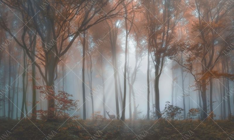 Фреска ALBA Natura арт. 800172