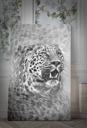 Графика Ягуар.  ag0119