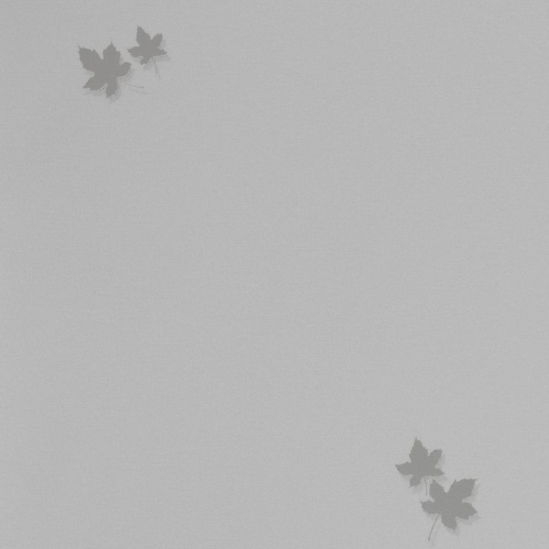 54384-4 Andrea Rossi Spectrum PRO 1,06 х 10,05