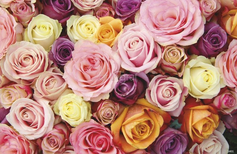 Свадебные розы Art.5401