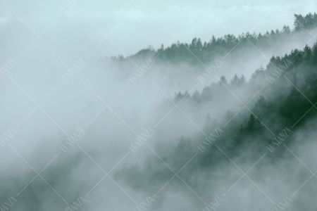 Фреска ALBA Natura арт. 800182