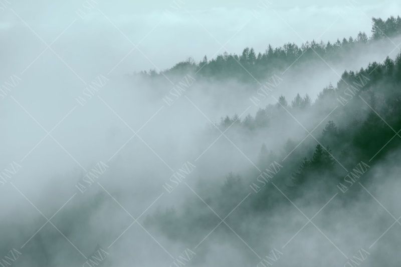 Фреска ALBA Natura арт. 800182