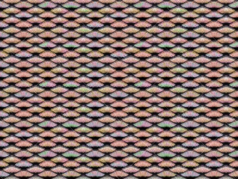 Фреска ALBA Textures арт. 800361