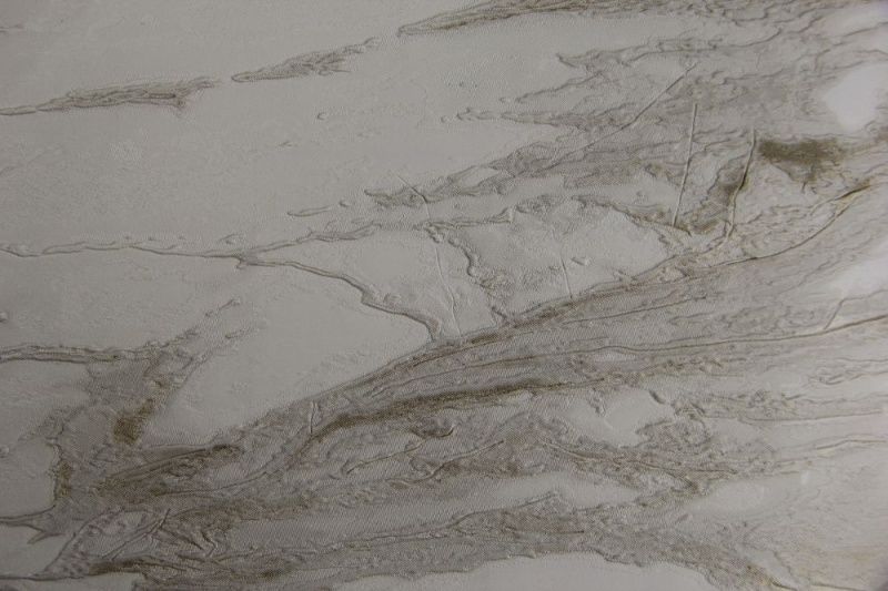 Виниловые обои Roberto Cavalli 9 1.06 21022