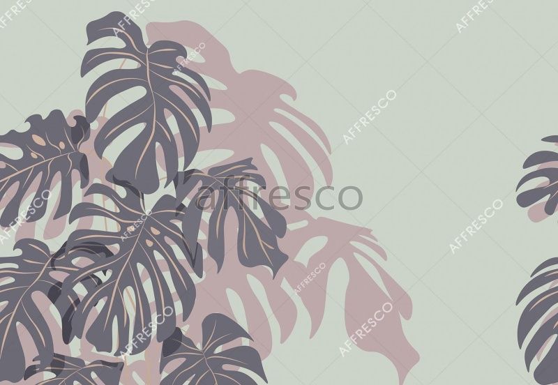 В тени монстеры, арт. ID139352