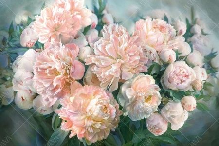 Фреска ALBA Flora арт. 800252