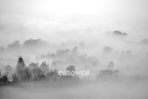 Фреска Туманный лес