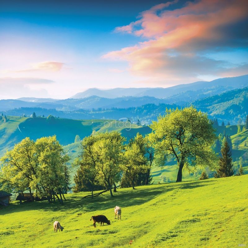 Фреска Луг в горах Art.30831