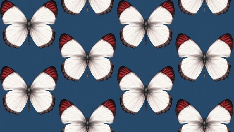 54401-8 Andrea Rossi Cheradi 1,06 x 10,05