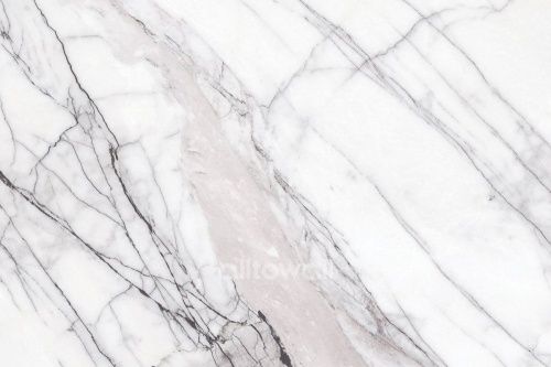 Фреска VOLACAS