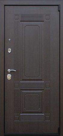 Стальная дверь «Викинг с зеркалом» АСД