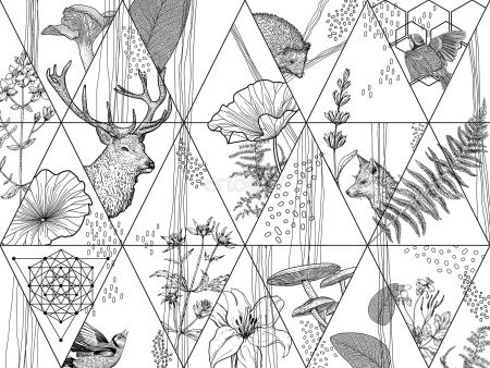 Зарисовки природы Art.34146