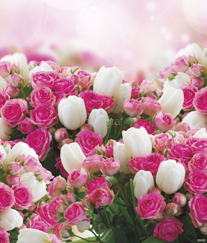 Тюльпаны и розы Art.30430