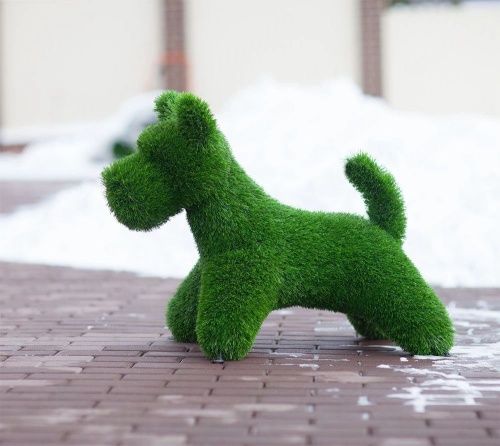 Собач Норвич терьер 58*86*50