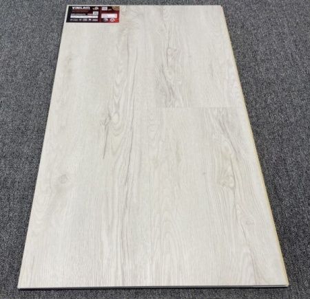 Дуб Аликанте