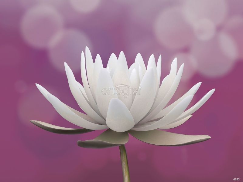 Фреска Лотос Art.4835