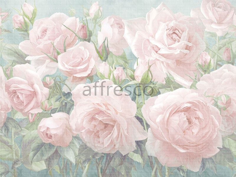 Фрески, Каталог Ботаника, арт. ID138409