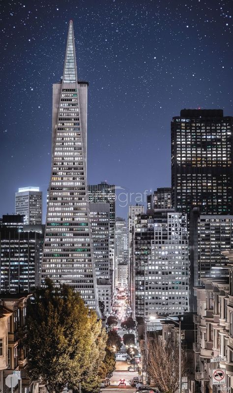 Ночные небоскребы  Art.33499