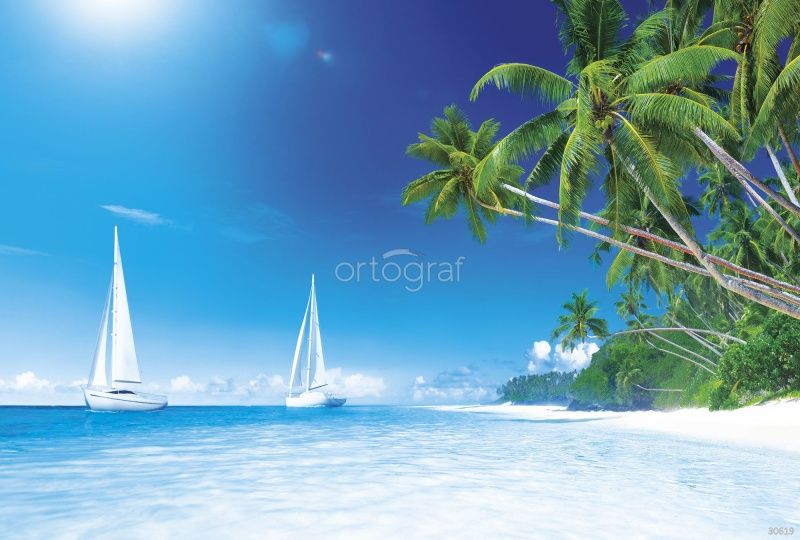 Фреска Кокосовый пляж Art.30619