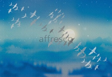 Ночной полёт, арт. ID136368