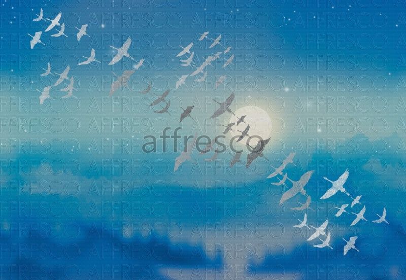 Ночной полёт, арт. ID136368