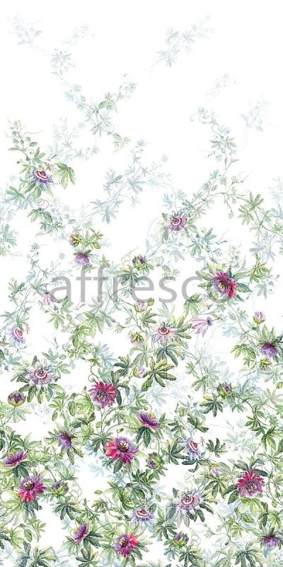 Фрески, Каталог Ботаника, арт. ID138524