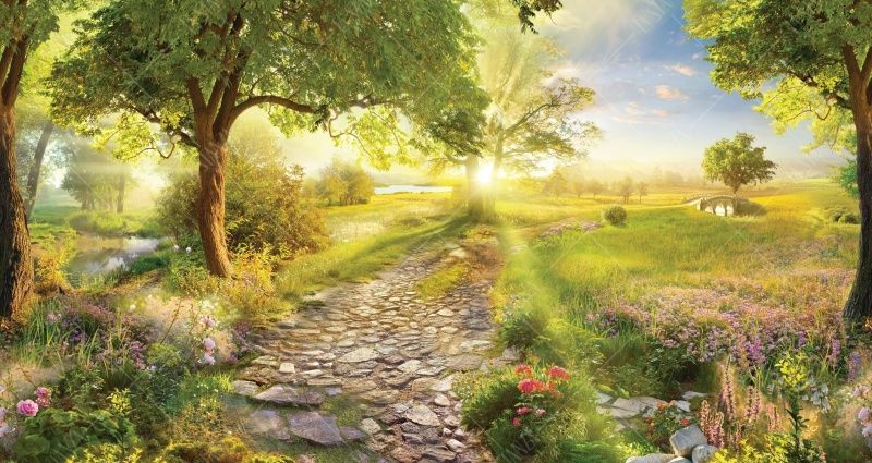 Фреска Дорожка из камня, дерево, восход солнца