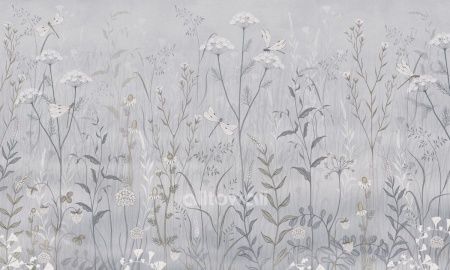 Полевые цветы-2