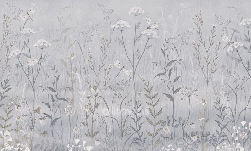 Полевые цветы-2