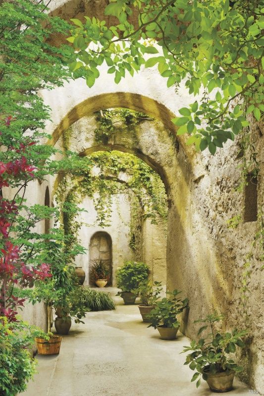 Старинные каридоры Art.3912