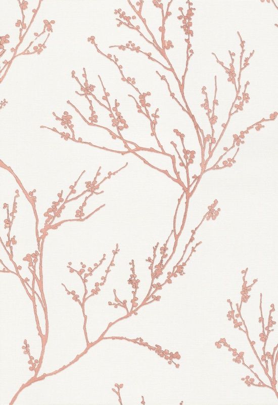 54360-4 Andrea Rossi Spectrum max 1,06 x 10,05