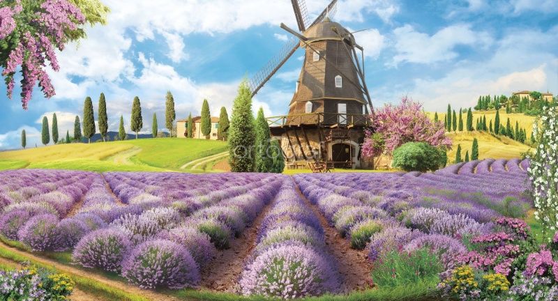 Мельница на цветочном поле Art.30733