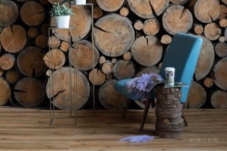 Дуб Марбург