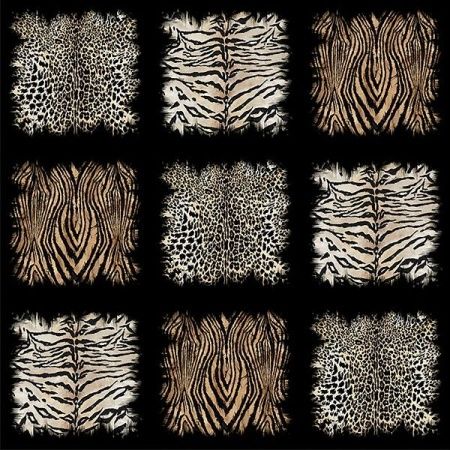 Виниловые фотообои Roberto Cavalli 8 RC19106