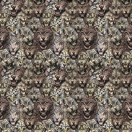 Виниловые фотообои Roberto Cavalli 8 RC19104