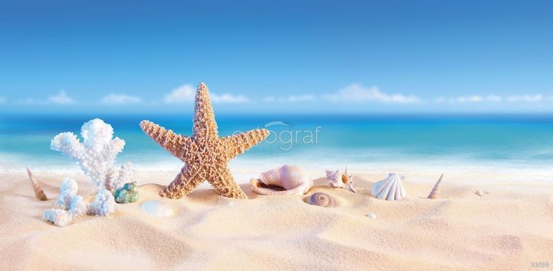 Морская звезда Art.33059