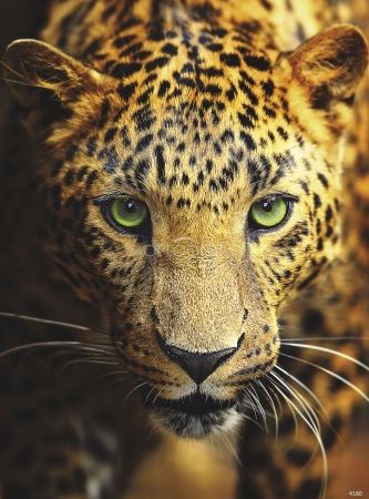 Леопард Art.4180