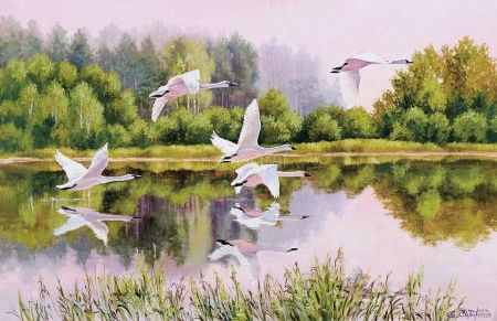 На взлете Art.8231